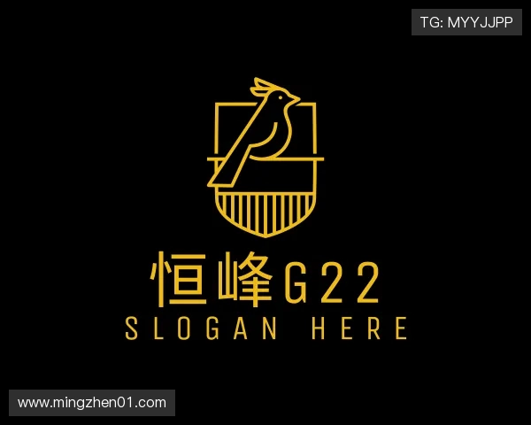 认识恒丰g22手机版